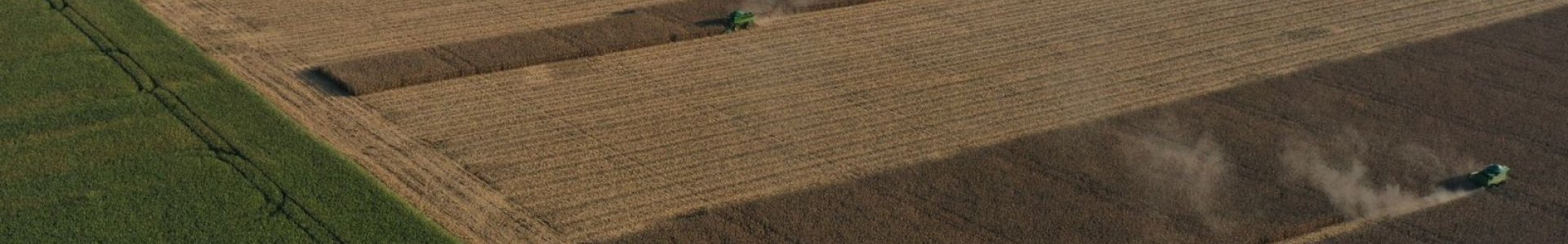 COLHEITA DO MILHO 2ª SAFRA 