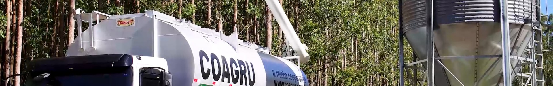 Conectividade em tempo real integra a logística da Coagru com o manejo prático no aviário