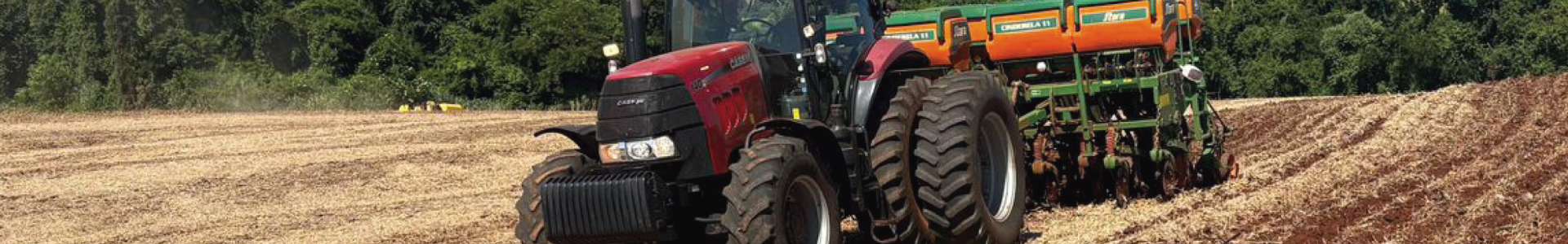 Milho Safrinha 2026: Planejamento e Manejo 