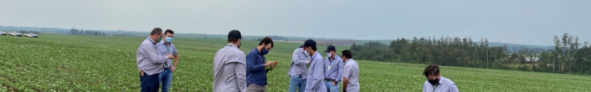 Departamento Técnico da Coagru recebe nematologista para treinamento