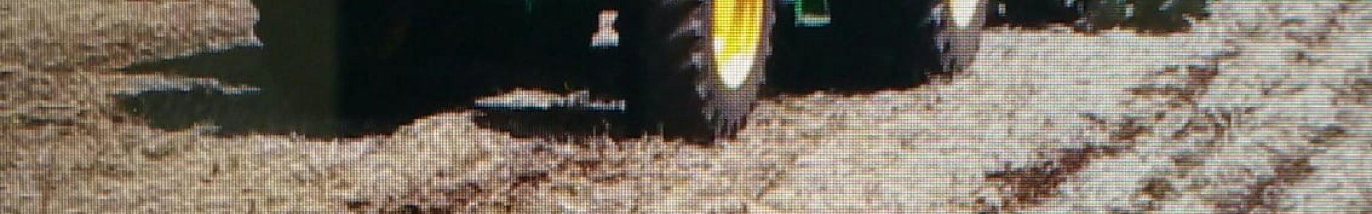 Cuidados no manejo inicial do milho 2ª safra