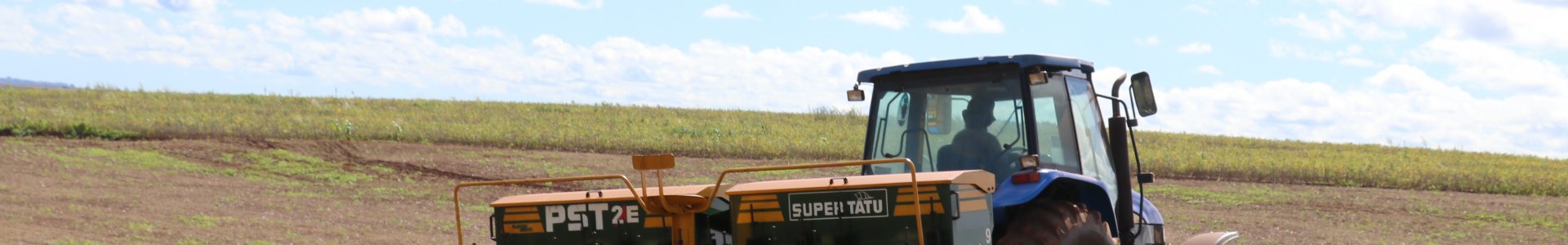 PLANTIO DO MILHO 2ª SAFRA