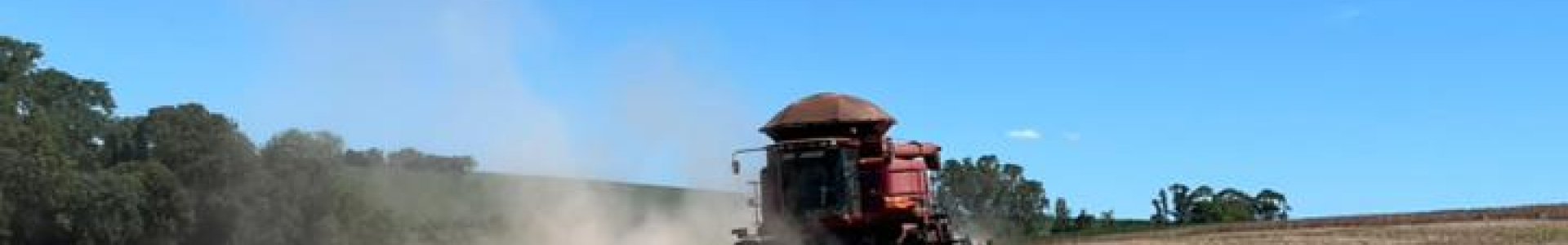 Safra 2025/2026: evolução da soja e perspectivas para a colheita