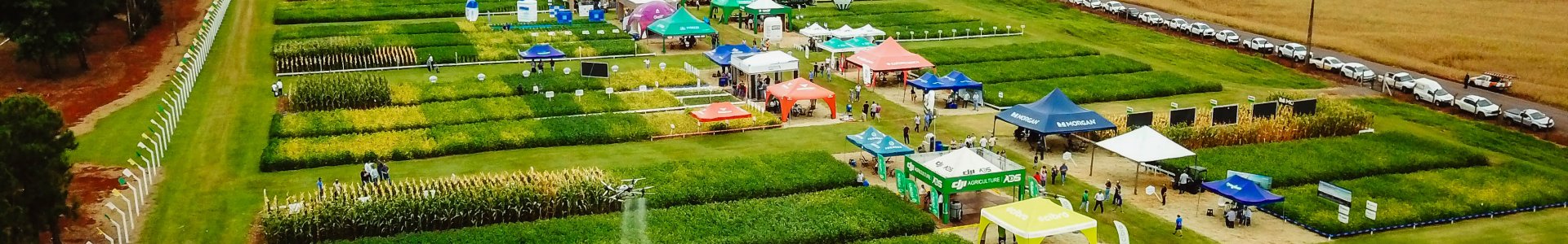 Dia de Campo Verão 2025: inovação e interação na Unidade Experimental da Coagru