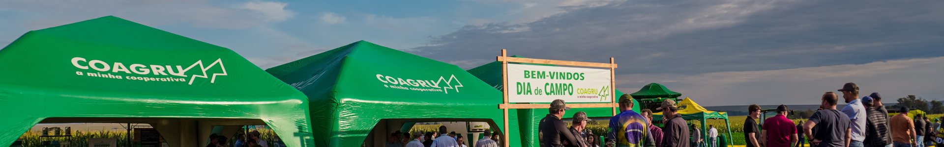 Dia de Campo Descentralizado da Unidade Pensamento destaca expansão da Coagru