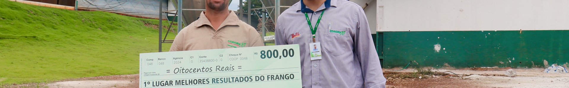 Melhores Resultados do Frango - Novembro 