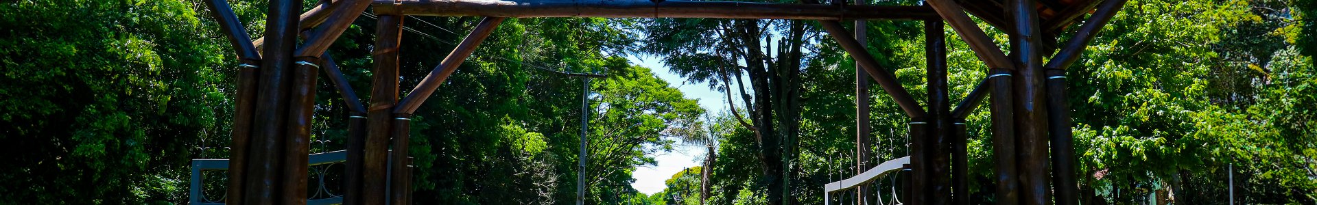 Jovens líderes da Coagru participam de Treinamento Vivencial em Campo Mourão