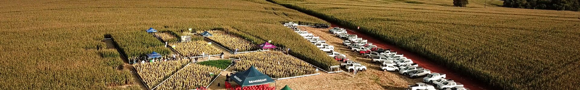 Morgan em Campo 2025 reúne produtores e empresas para troca de conhecimentos