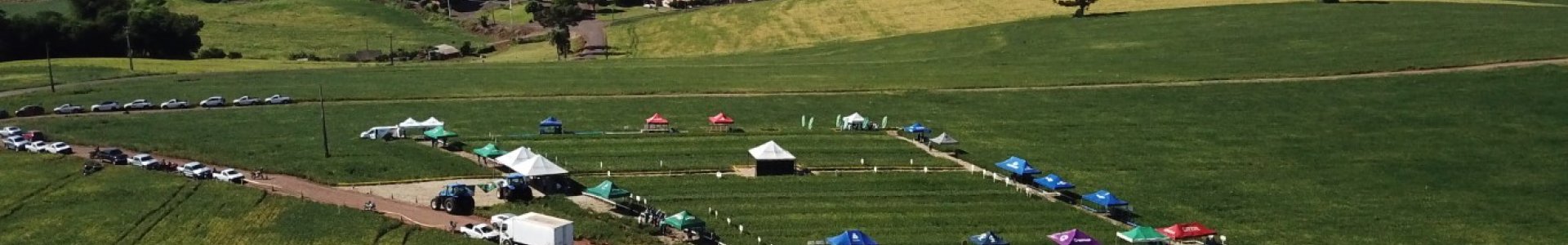 Com foco no cultivo da soja, a Coagru realiza Dias de Campo Descentralizados