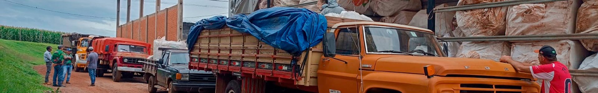 Meio Ambiente: descarte correto de embalagens de defensivos agrícolas