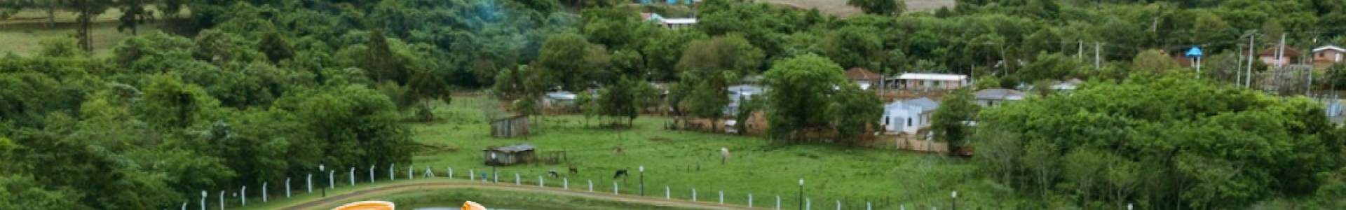 Parabéns, Nova Cantu, pelos seus 61 anos