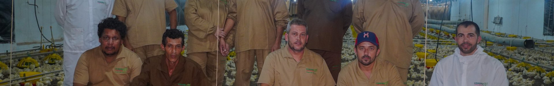 Treinamento para granjeiros reforça boas práticas na avicultura