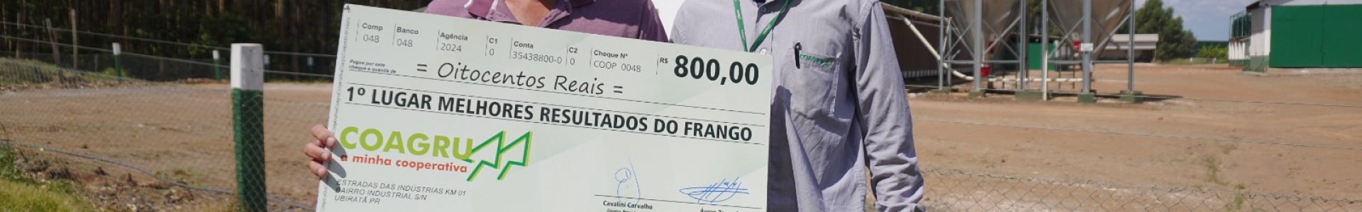 Melhores Resultados do Frango  Fevereiro 2025