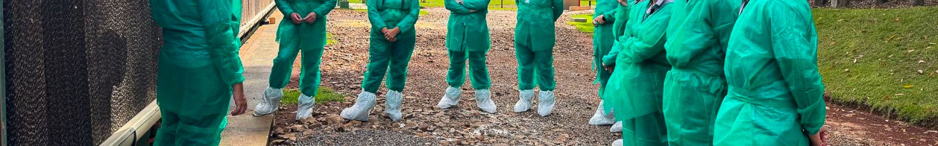 Equipe da Unidade Avícola da Coagru participa da 2ª etapa do Treinamento Técnico de Manejo