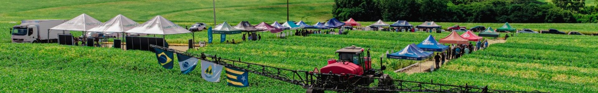 Dias de Campo Descentralizados levam inovação e conhecimento técnico às propriedades dos associados