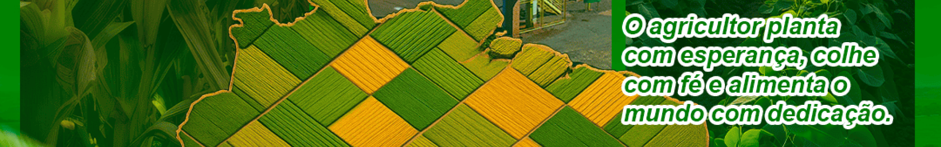 28/07/2025 -  Dia do Agricultor 