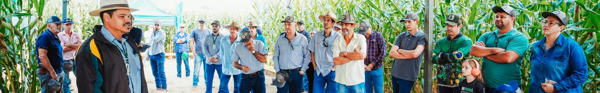 Dia de Campo Descentralizado destaca tecnologias e manejo no milho em Nova Cantu