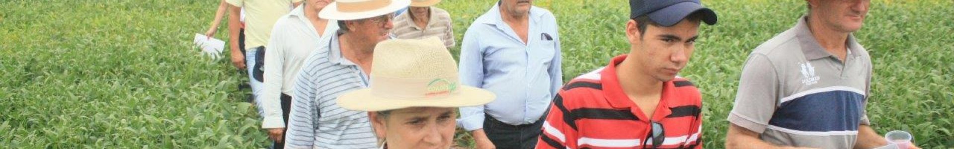 Dias de Campo Descentralizados: grande participação dos cooperados