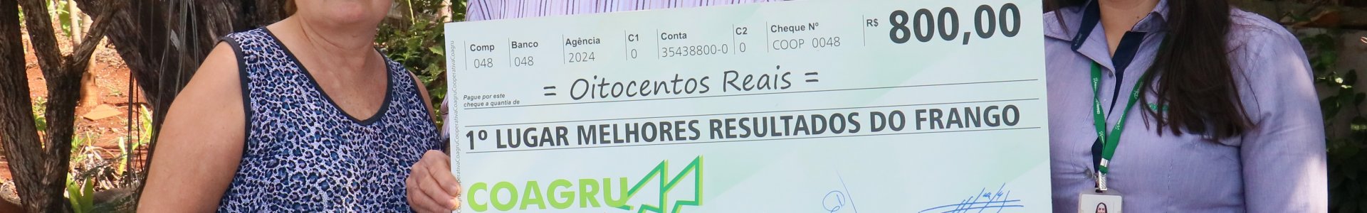 Melhores resultados do frango - Agosto/2024