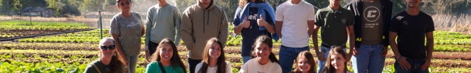 Lidercoop Fase 2:  o poder da diversificação na propriedade rural