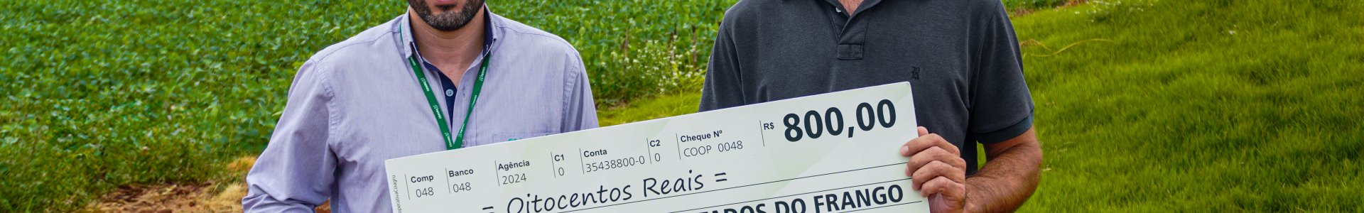 OUTUBRO  MELHORES RESULTADOS DO FRANGO