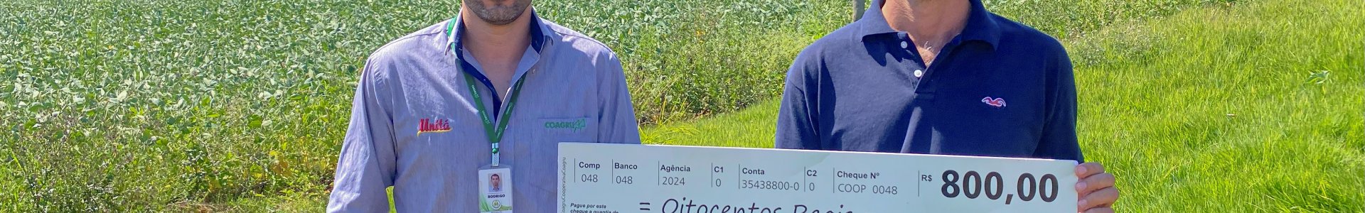 Melhores Resultados do Frango - Dezembro 2024