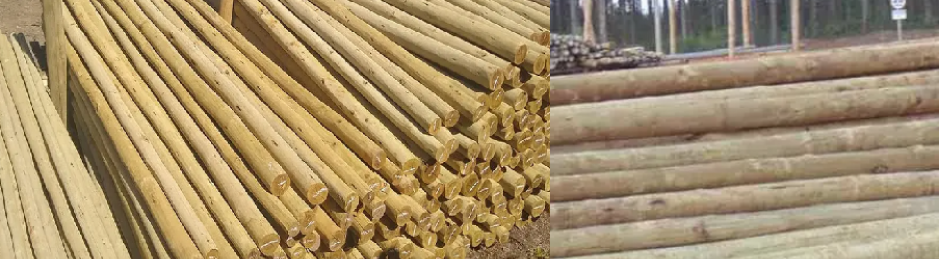 Processamento de Madeira