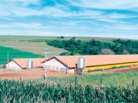 2002 - Início da Avicultura de Corte