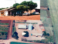 1982 - Unidade de Yolanda