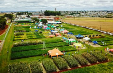 dia-de-campo-verao-2025-inovacao-e-interacao-na-unidade-experimental-da-coagru