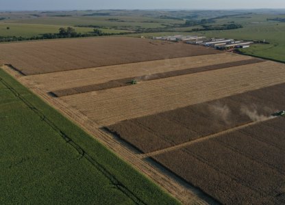 COLHEITA DO MILHO 2ª SAFRA 