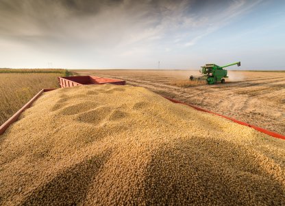 Pragas quarentenárias e sementes tóxicas