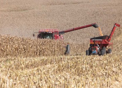 CUIDADOS NA OPERAÇÃO DE COLHEITA DO MILHO 2ª SAFRA