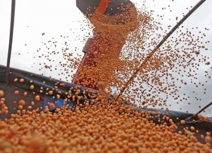 EXPECTATIVAS PARA A SAFRA VERÃO 2019/2020