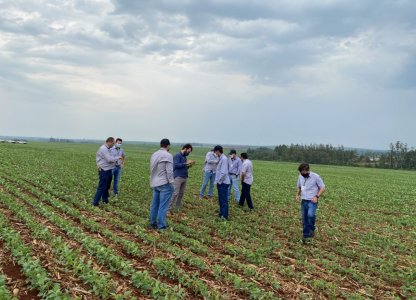 Departamento Técnico da Coagru recebe nematologista para treinamento