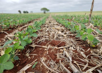 Cuidados nas aplicações de defensivos agrícolas