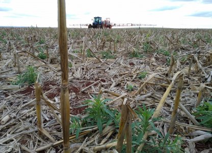 Adoção de Herbicidas Pré-emergentes no Manejo de Plantas Daninhas