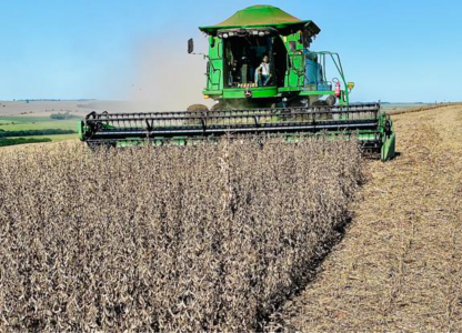 Com boas produtividades, Coagru recebe mais uma safra de verão 