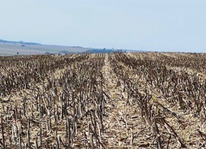 Umidade no solo favorece o início da Safra Verão 2020/2021