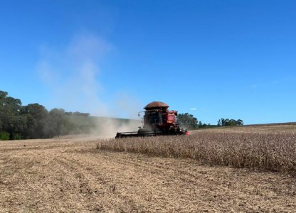 Safra 2025/2026: evolução da soja e perspectivas para a colheita