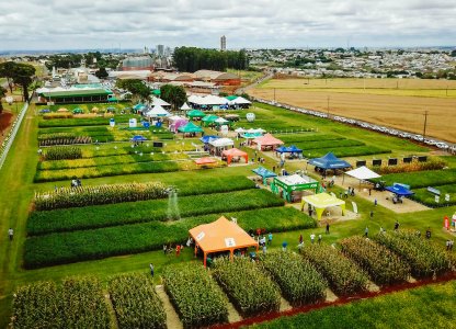 Dia de Campo Verão 2025: inovação e interação na Unidade Experimental da Coagru