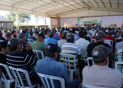 Dia de Campo Coagru apresenta as inovações e tendências para as culturas de inverno e pecuária