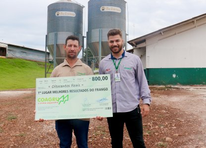 Melhores Resultados do Frango - Novembro 