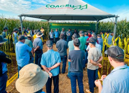 Dias de Campo Descentralizados