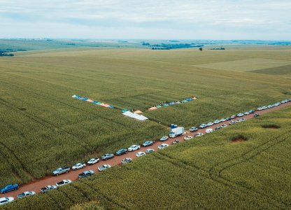 Adubação Foliar no Milho é tema dos Dias de Campo Descentralizados da Coagru