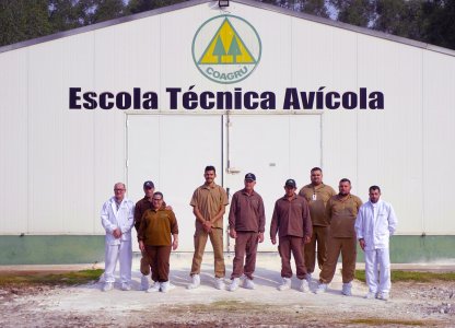 Escola Avícola: atualização de práticas e conhecimentos para granjeiros