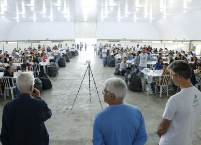 Dia C: mutirão das fraldas