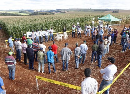 Dias de Campo Descentralizados Movimentaram as Unidades da Coagru