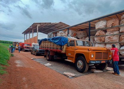 Meio Ambiente: descarte correto de embalagens de defensivos agrícolas