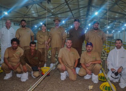 Treinamento para granjeiros reforça boas práticas na avicultura